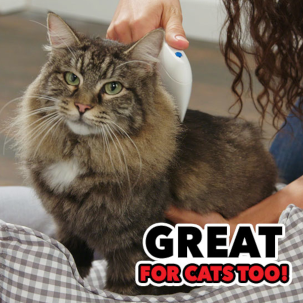 Find, Kill & Remove Pesky Fleas In Minutes!