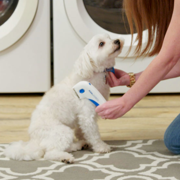 Find, Kill & Remove Pesky Fleas In Minutes!