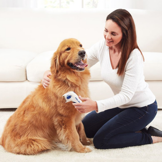 Find, Kill & Remove Pesky Fleas In Minutes!